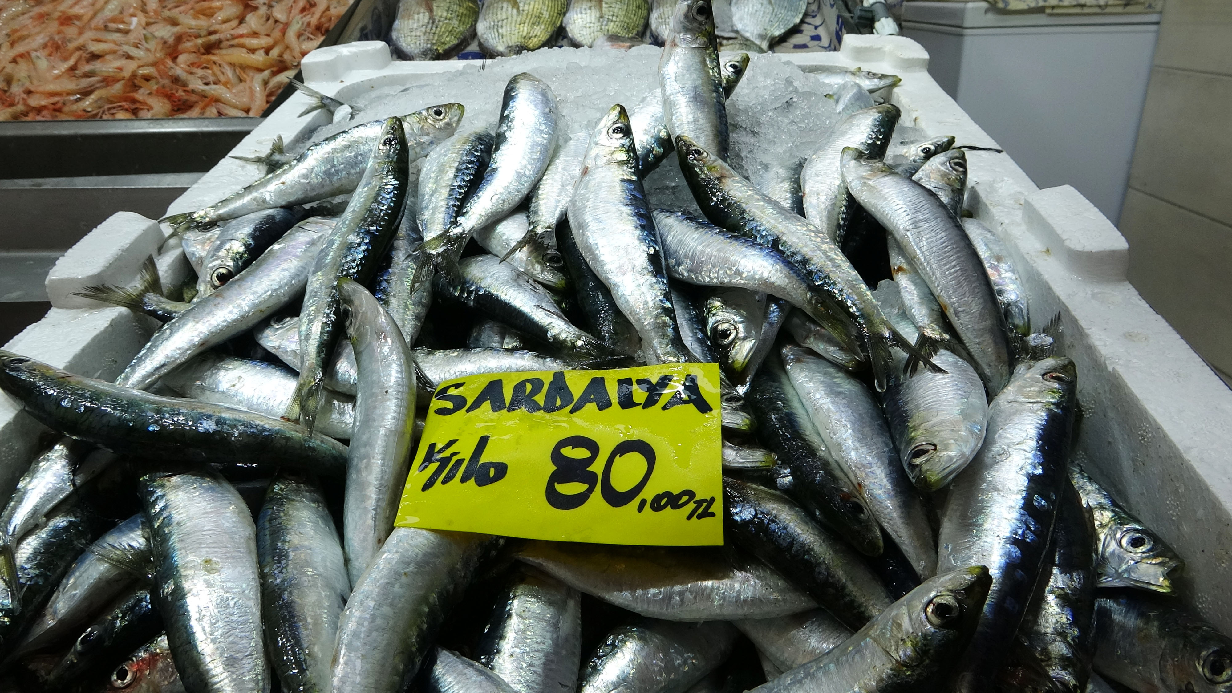 Çanakkala'de balık tezgahları el yakıyor: İşte sardalyanın kilosu...