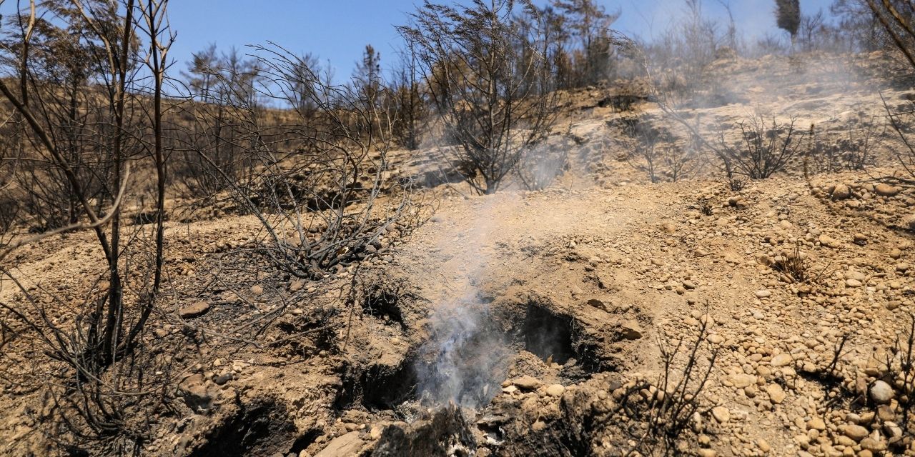 Manavgat'ta ağaç kökleri yanmaya devam ediyor
