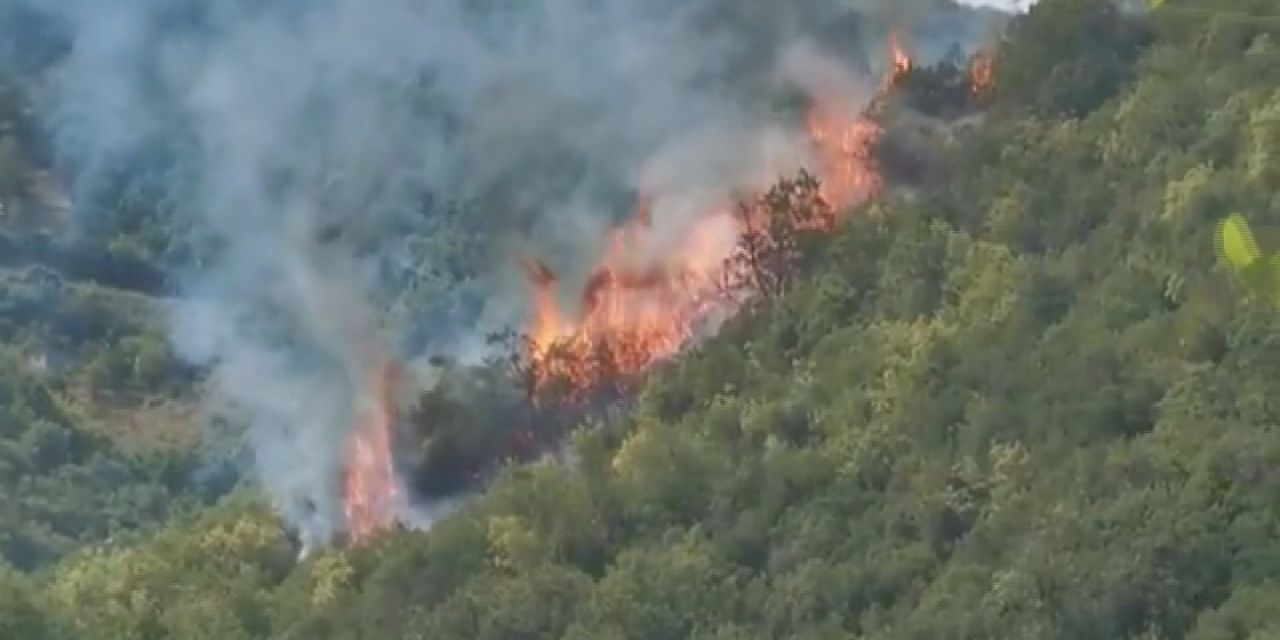 Sarıyer'de orman yangını: Kontrol altına alındı