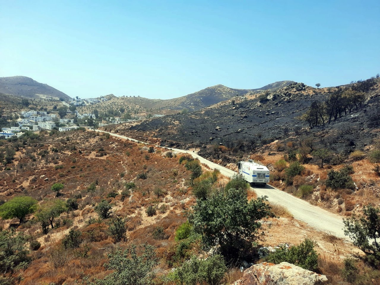 Bodrum'da 20 hektarlık makilik alan kül oldu