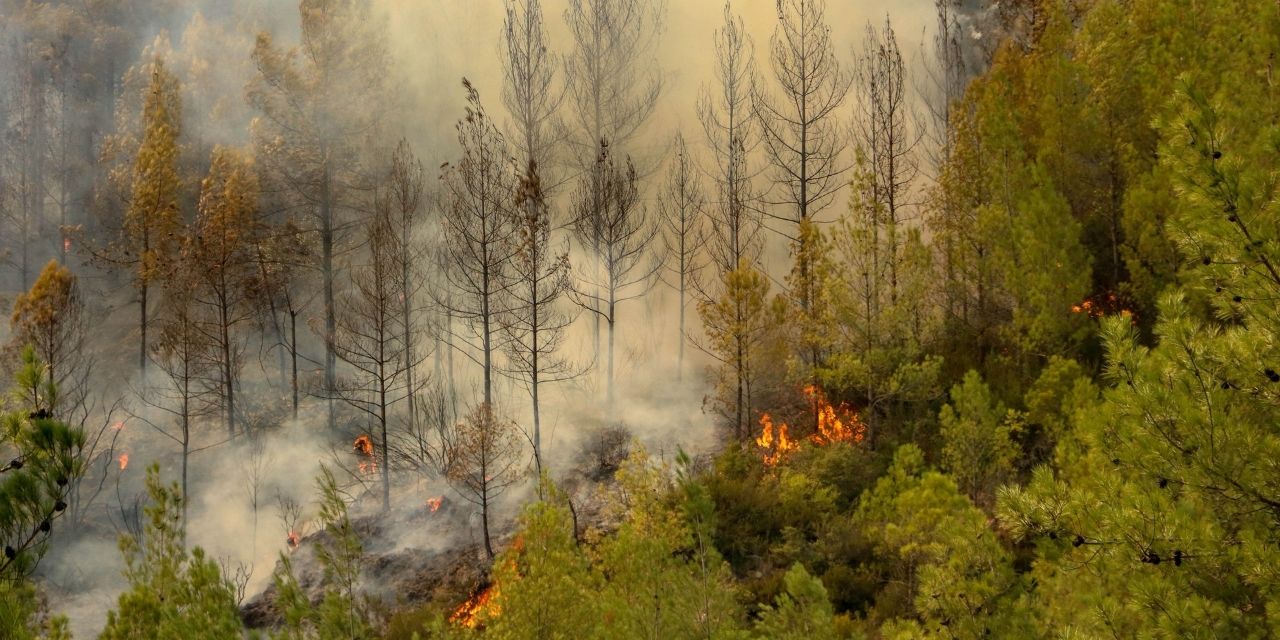 Bucak'ta orman yangını: Köyler boşaltıldı