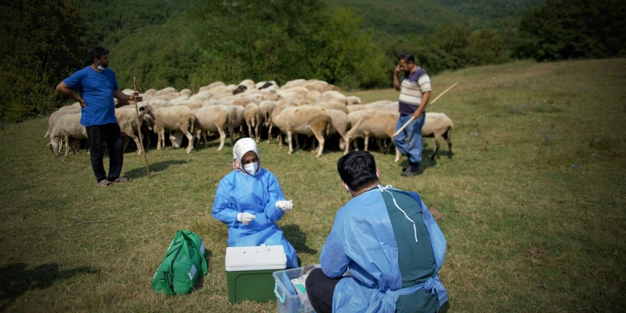 Çobanlara koyun otlatırken Covid-19 aşısı yaptılar