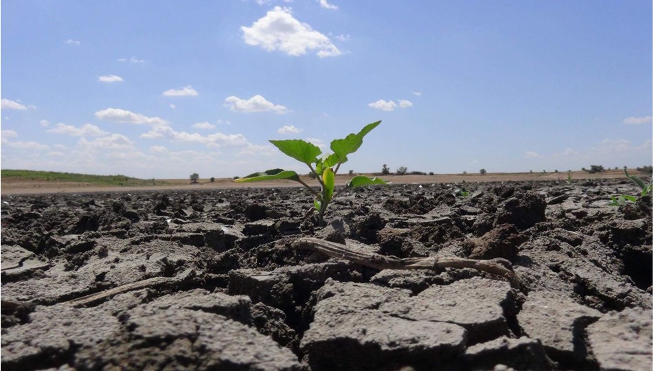 CHP’den iklim komisyonuna ikinci çağrı: İklim krizi bağıra bağıra ve hızla geliyor