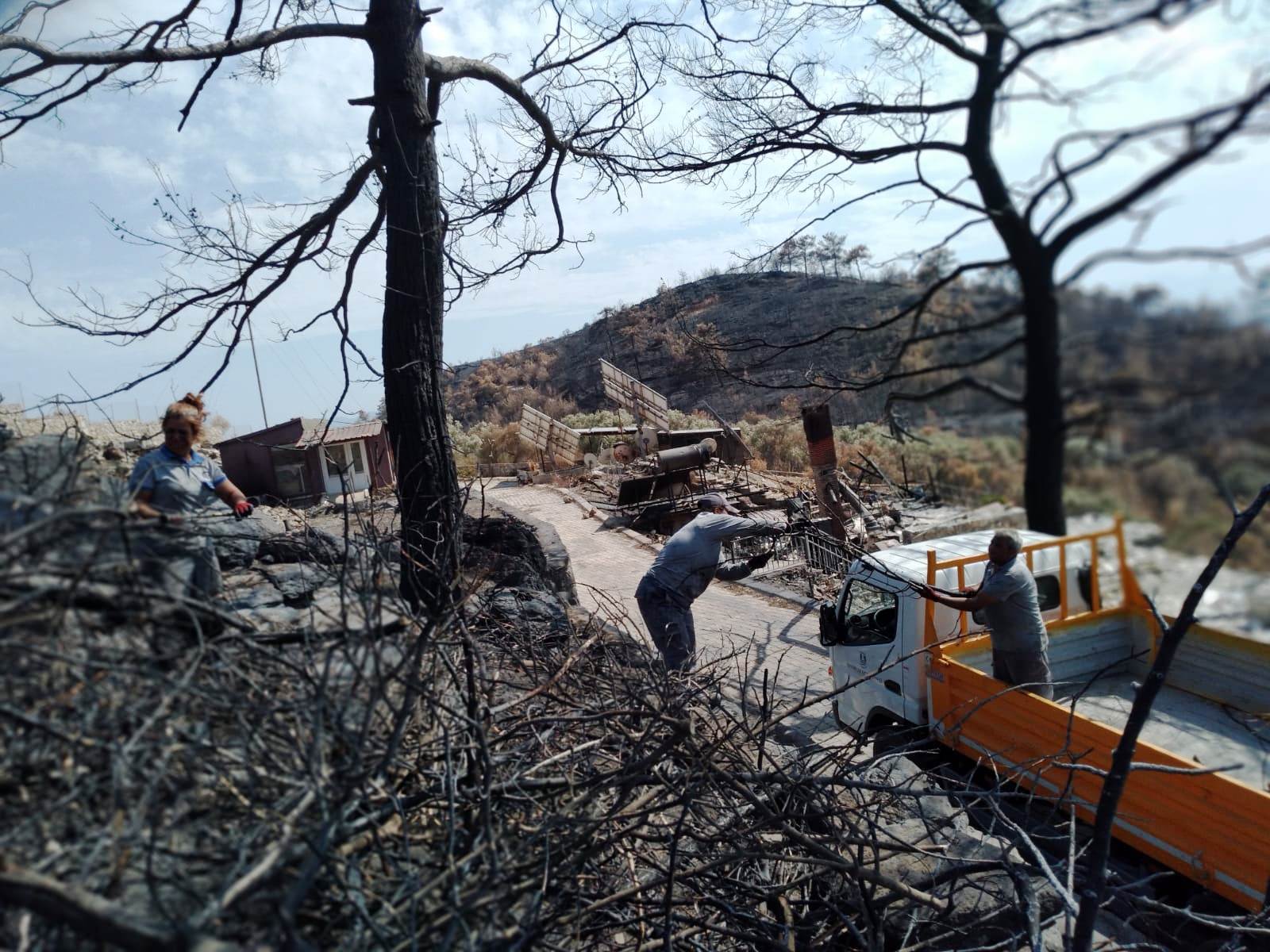 Bodrum Belediyesi yangın sonrası tehlike oluşturan ağaçlara müdahale etti