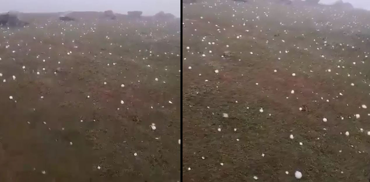 Trabzon'da yaylada dolu yağışı