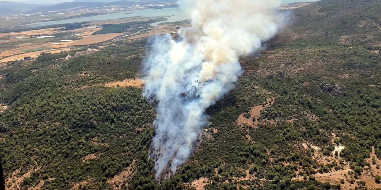 Menderes'te orman yangını: Kontrol altına alındı