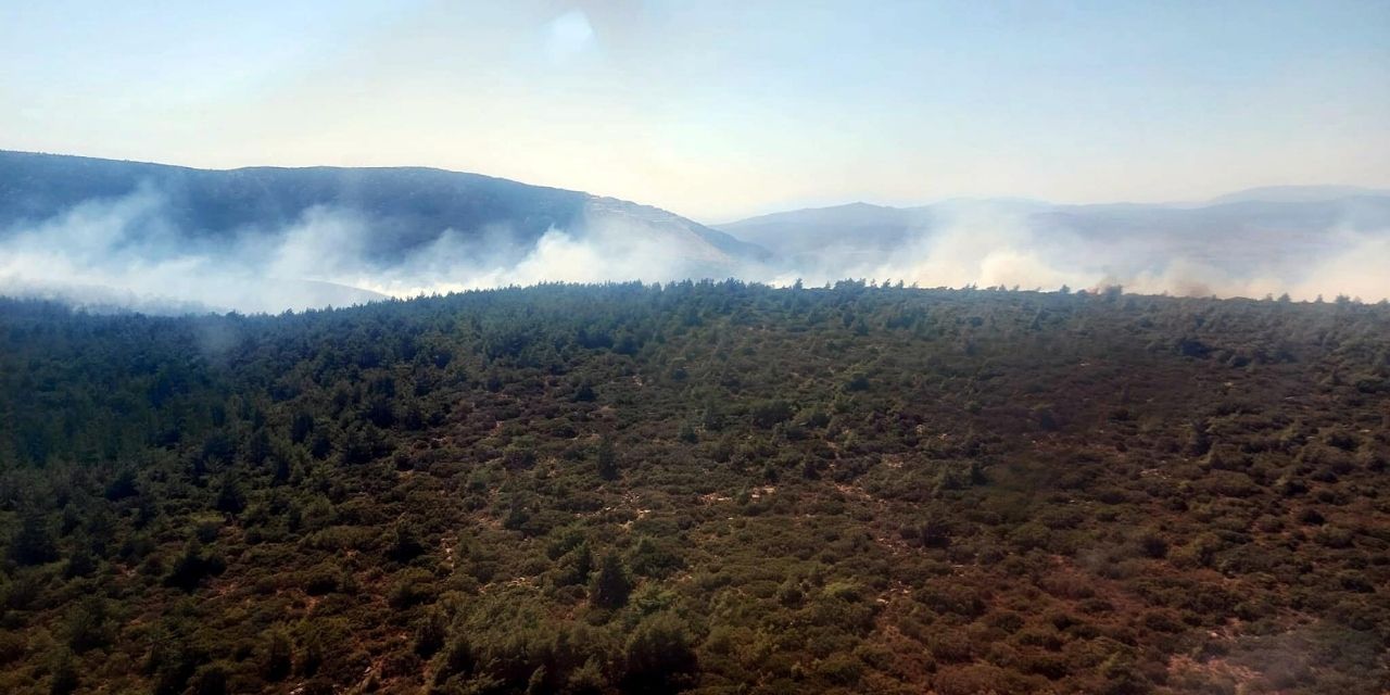 Çeşme'de orman yangını: Kontrol altına alındı
