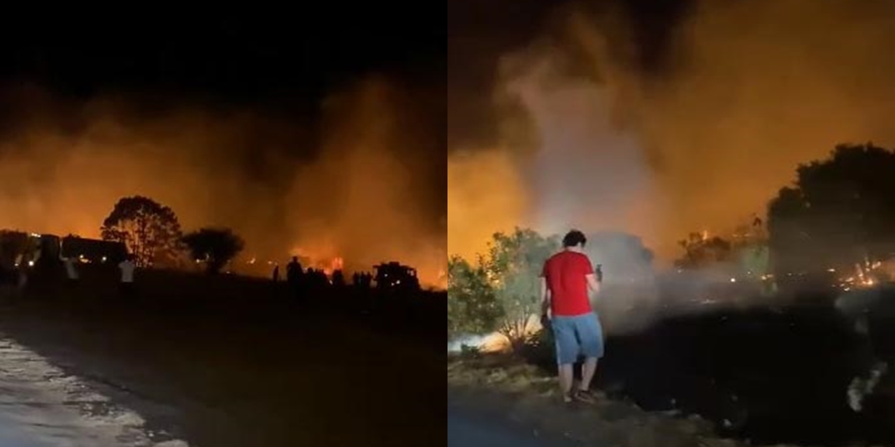 Didim'de 5 dönüm makilik alan yandı