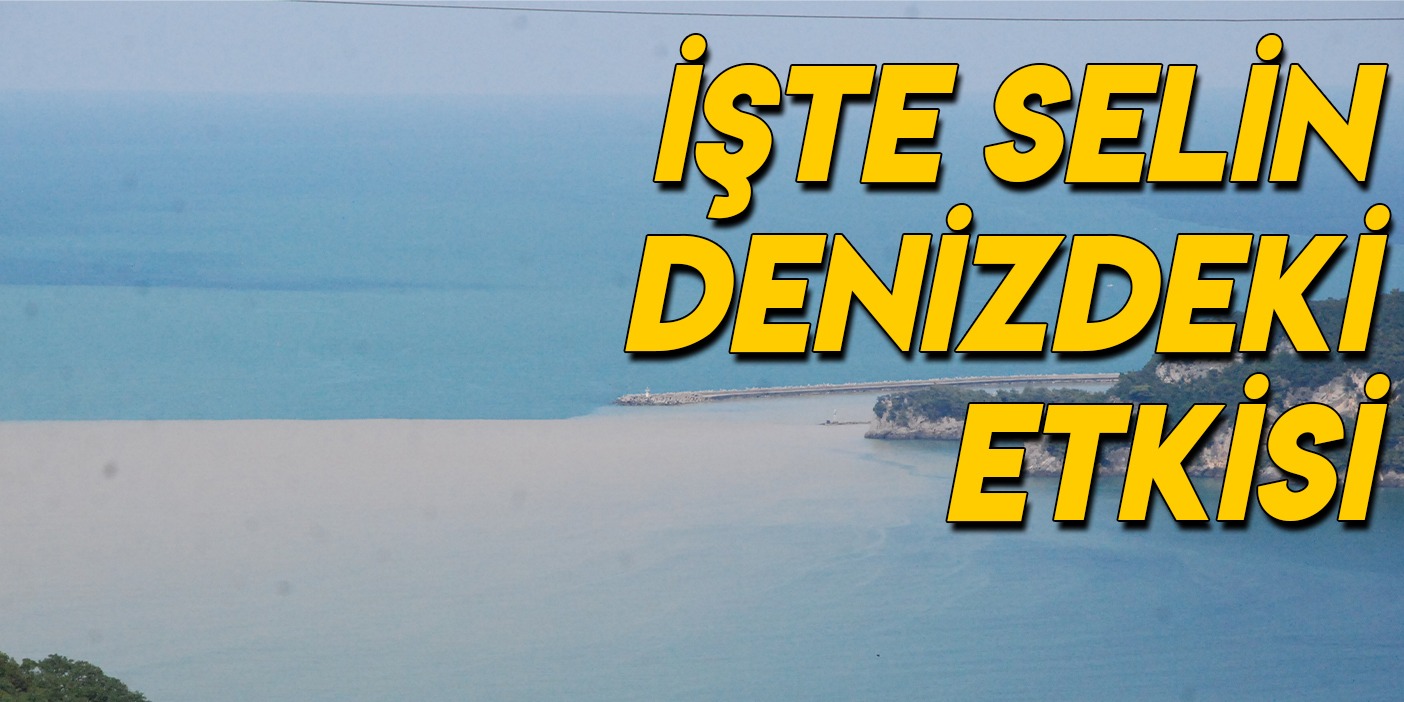 Sel felaketinden sonra Bartın'da deniz çamur rengine döndü