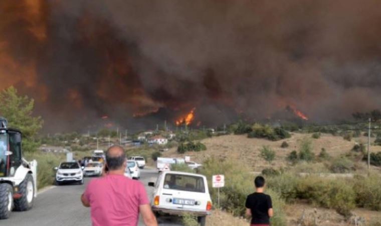 Aydın'da bir yangın daha! Bir mahalle tahliye edildi