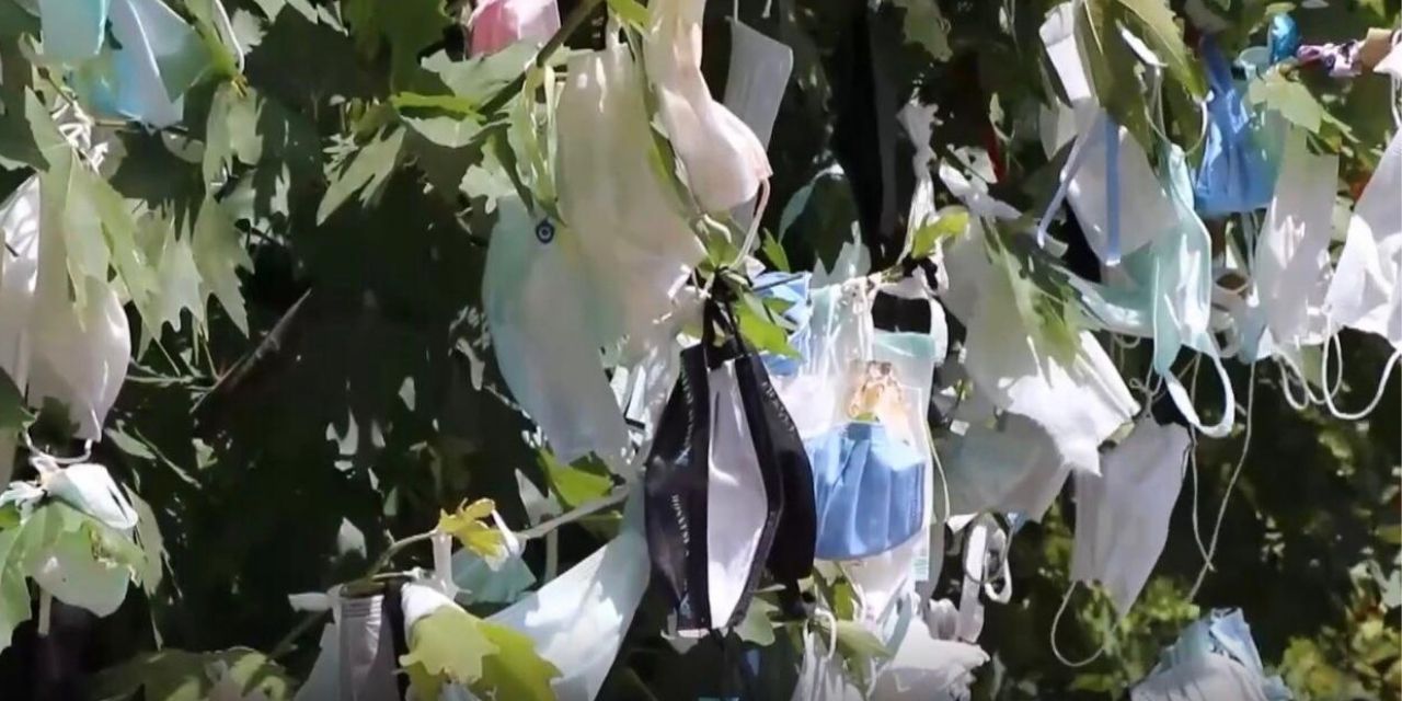 Hayaller dilek ağacında, gerçekler maske ve mesafede