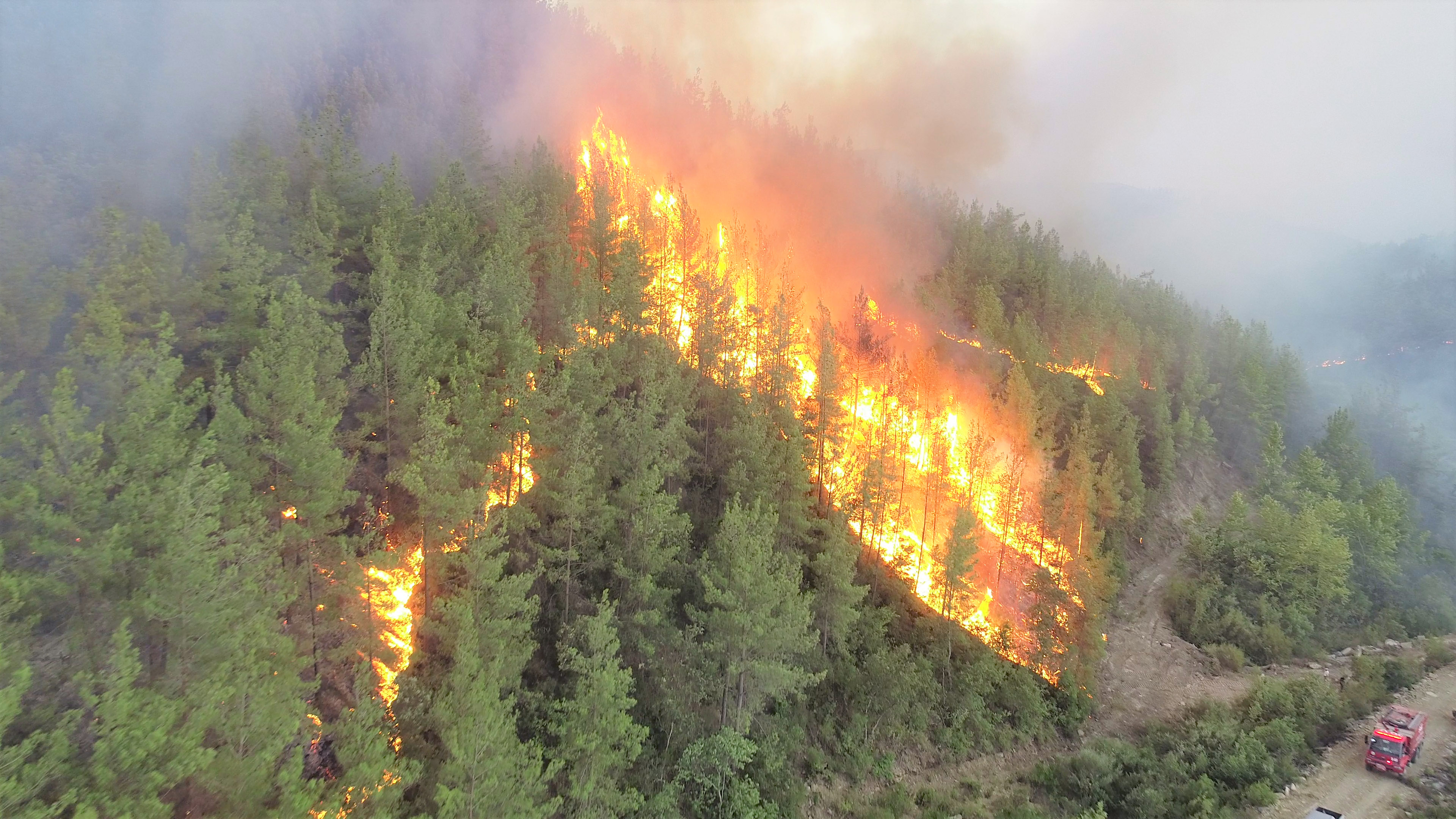 Antalya Orman Bölge Müdürü Dikici: Manavgat'taki yangında dumanın ısıttığı yer yanmaya başladı