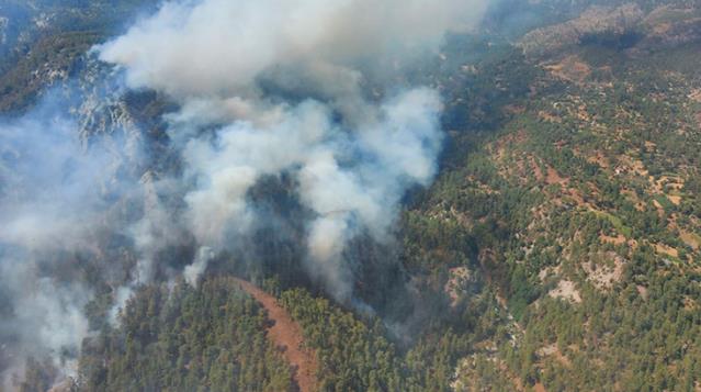 Muğla Köyceğiz yangını kontrol altına alındı