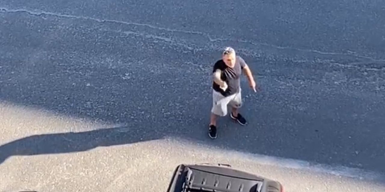 Daire 16 sosyal medyanın gündeminde: Tek biz yaşamıyoruz bu dünyada, hayvanlar da var!