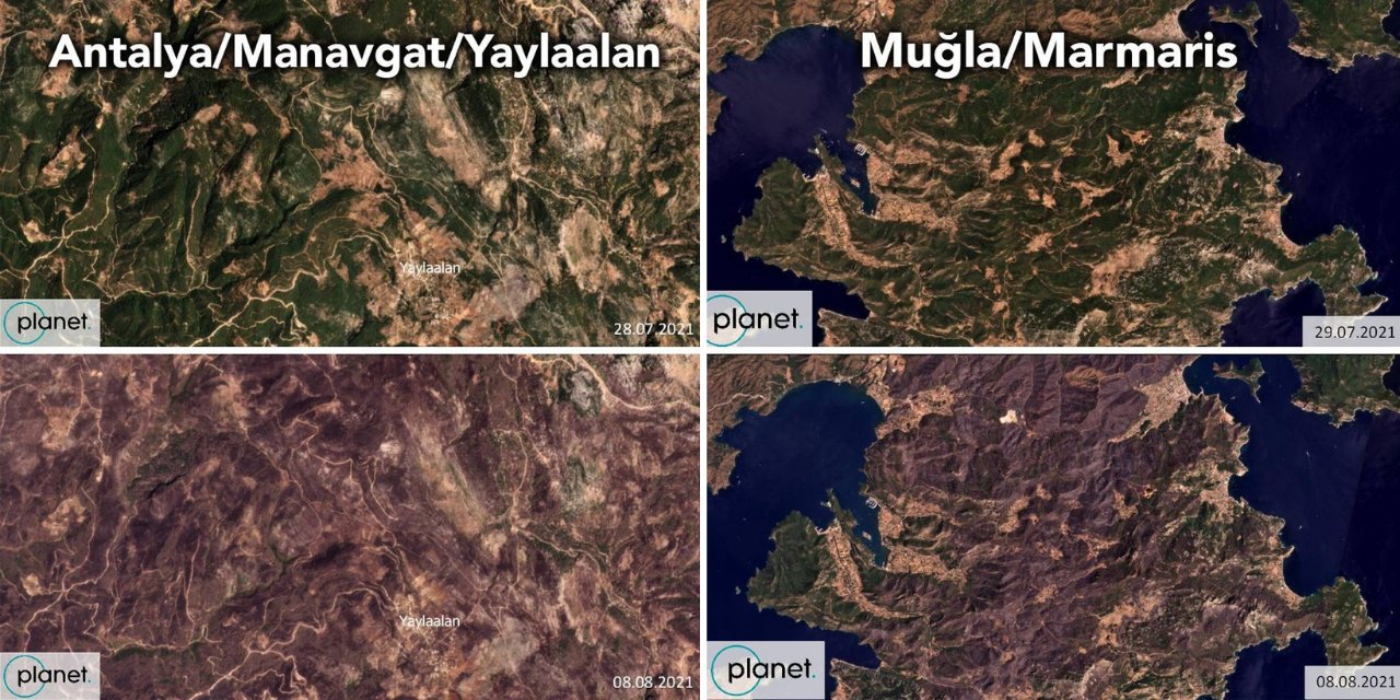 Greenpeace Türkiye, yanan alanların öncesi ve sonrası uydu görüntüsünü paylaştı