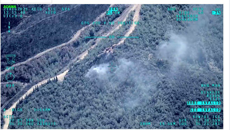 Adana Aladağ'da orman yangını