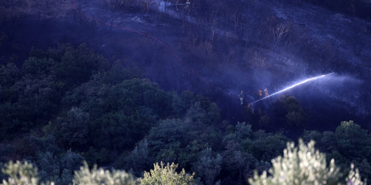 Bursa'da orman yangını kontrol altında