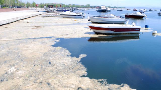 İBB ve İSKİ'den Marmara Denizi'ni kurtaracak rapor