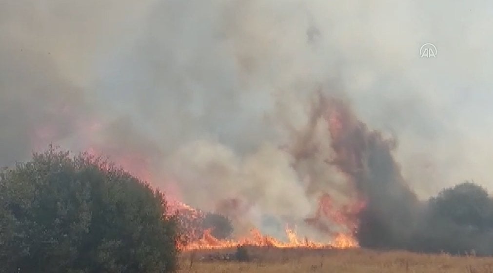 Manisa'daki orman yangını kontrol altına alındı