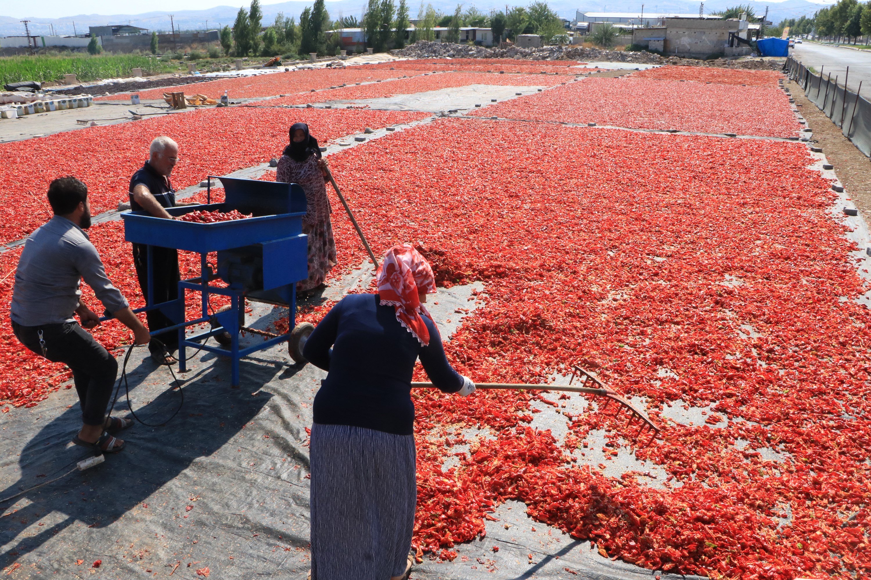 Şanlıurfa'da 'acı' mesaisi başladı