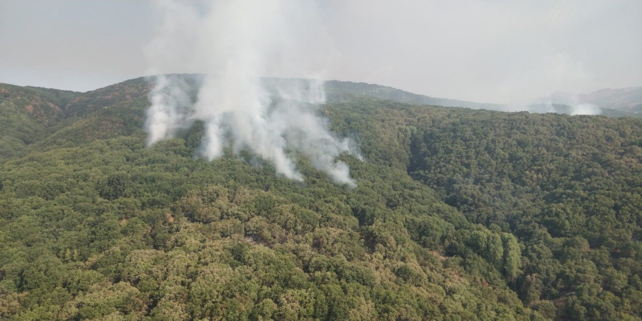 Tunceli'de son durum: 2 helikopter ve 1 uçak la müdahale devam ediyor