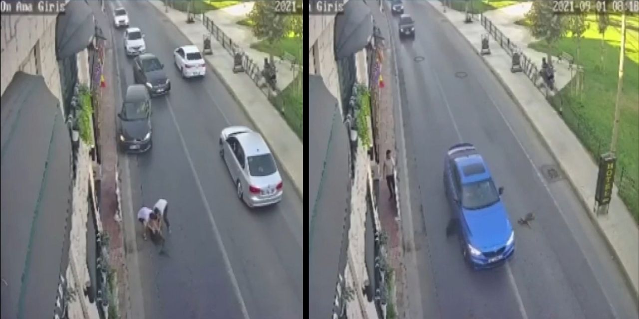 Bakırköy'de otomobil 2 köpeğe çarptı, umursamadan yola devam etti