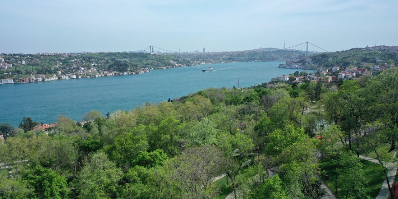 İstanbul'da ormanlara giriş yasağı 1 ay daha uzatıldı