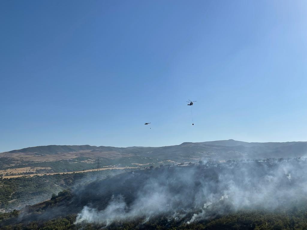 Tunceli ateş çemberinde! 'Batı'da gördüğümüz müdahale bu bölgede yok'