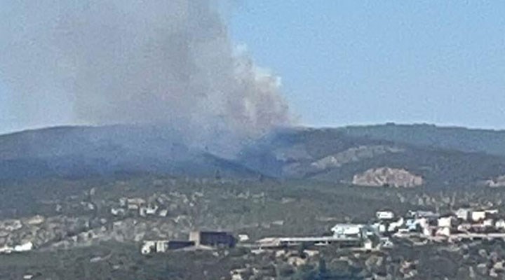 Milas'ta orman yangını