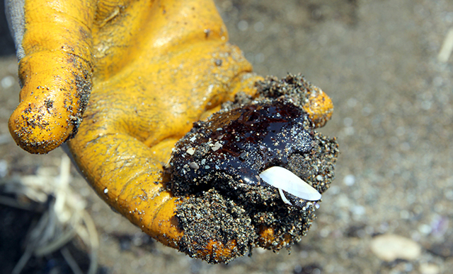 Hatay Valisi Doğan'dan Samandağ sahilindeki kirliliğe ilişkin açıklama: Bütün tedbirleri alıyoruz