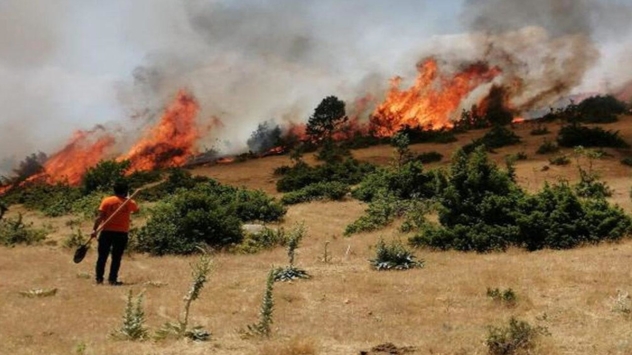 Bir ilde daha ormanlara giriş yasaklandı