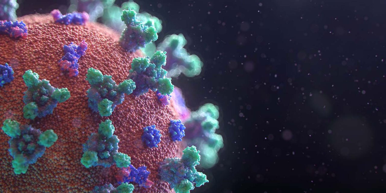 Covid-19'dan ölenlerin sayısı 4,5 milyonu geçti