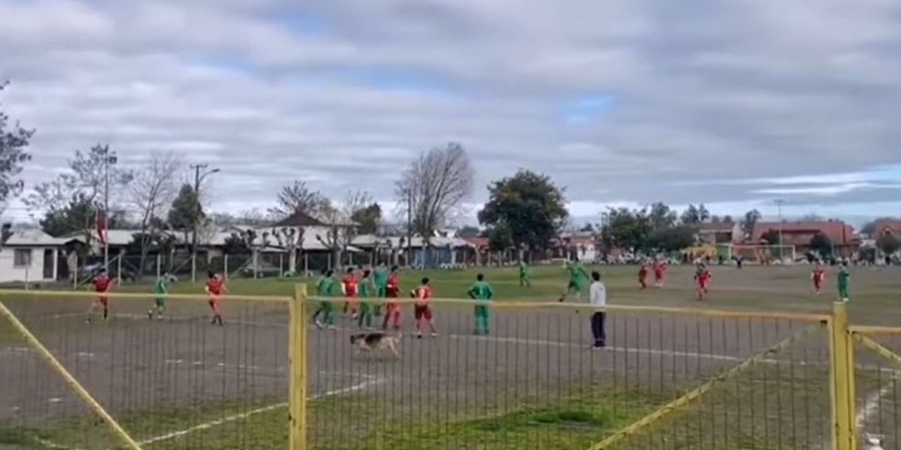 Şili'de oynanan futbol maçında sahaya giren köpek gol attı