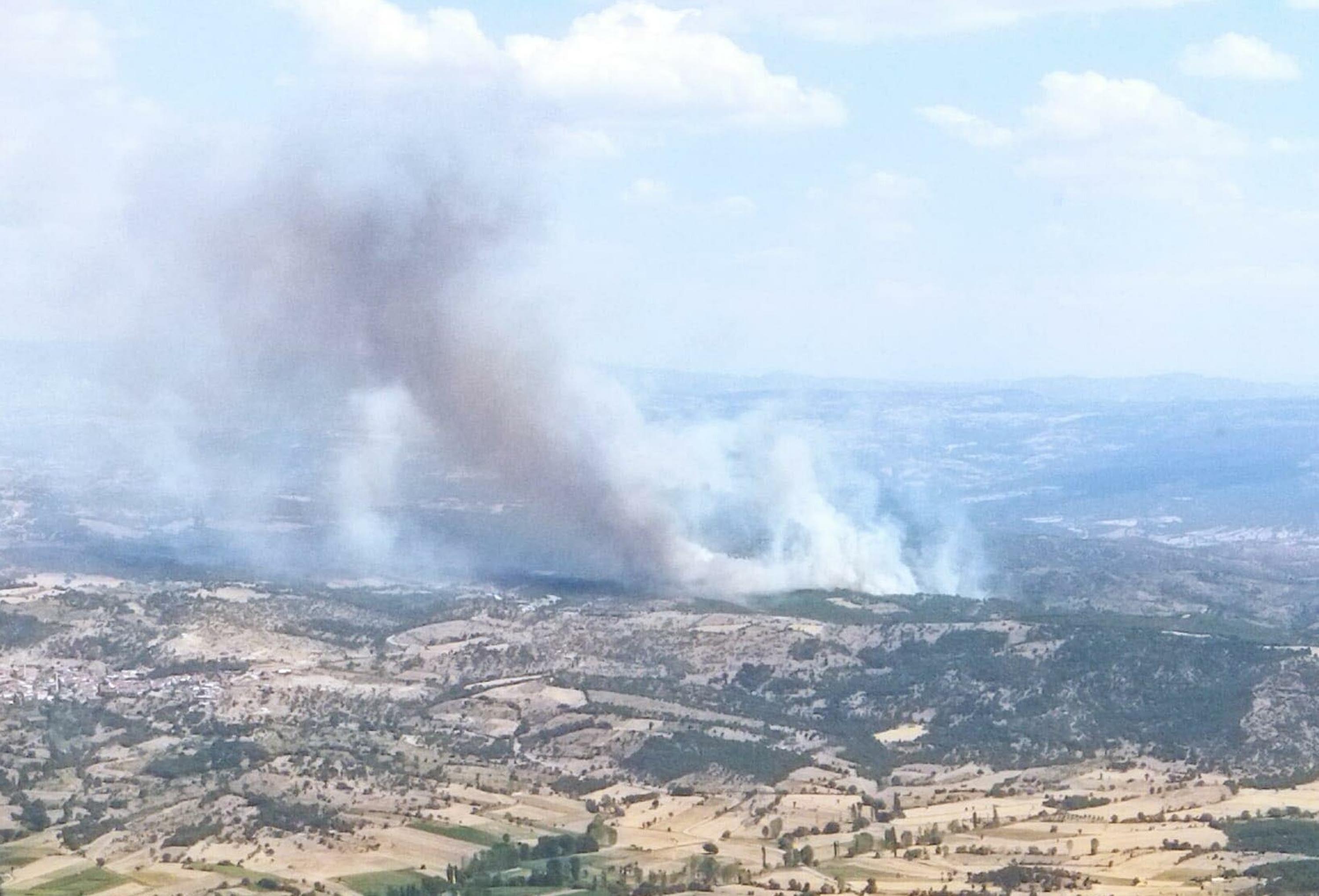 Manisa'da orman yangını