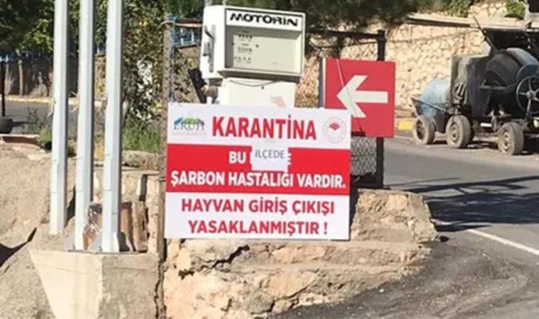 Şarbon tespit edilen ilçe karantinaya alındı