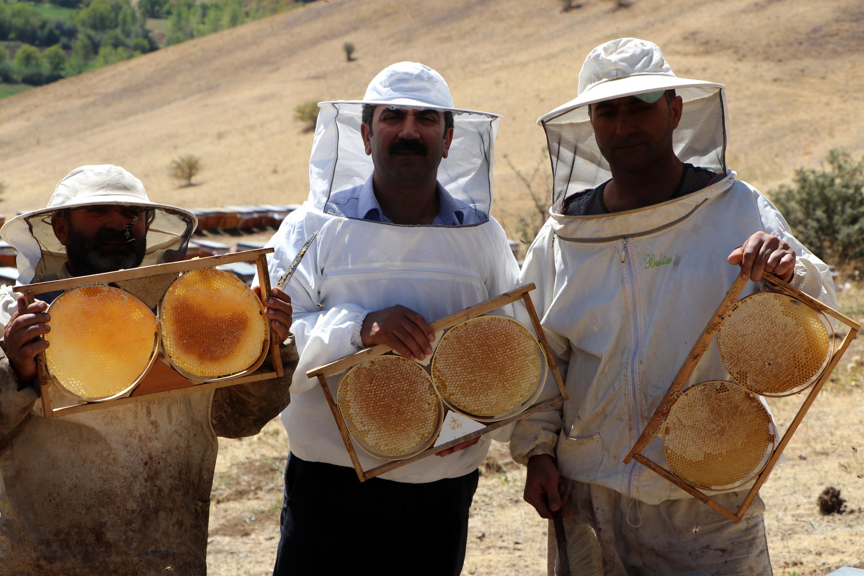 Van'da bal hasadı başladı: 140 bin kovan 2 bin 800 ton bal