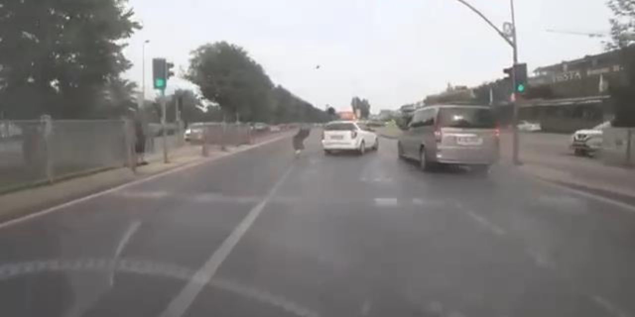 Otomobil kırmızı ışıkta geçen yayalara çarptı: Kaza anı kamerada