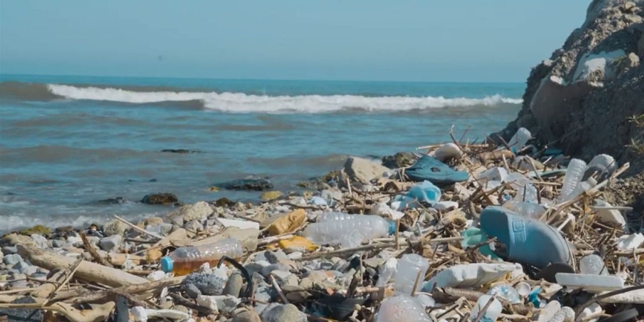 Karadeniz'de kirlilik: 500 metrekarede 2 bin 500 atık çıktı