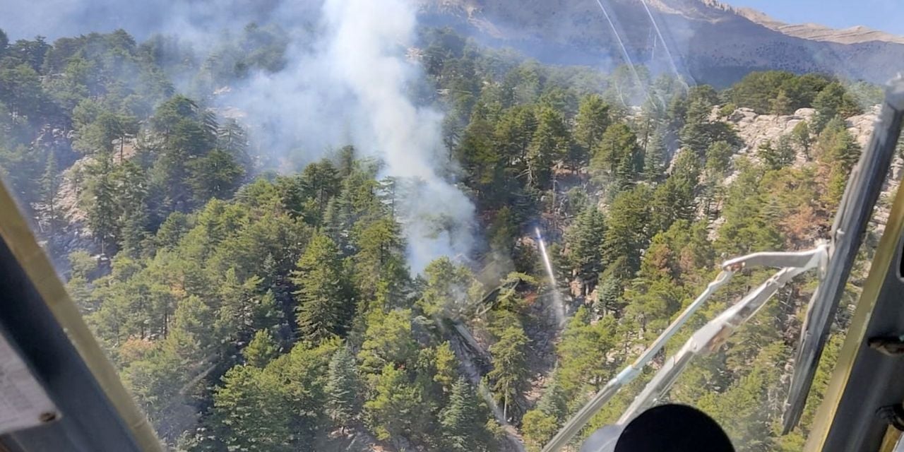 Manavgat'ta orman yangını: Kontrol altına alındı