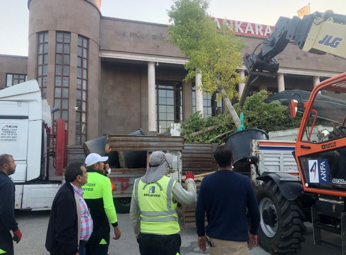 Ankara Valiliği, 10 Ekim’de katledilenleri temsil eden ağaçları kaldırdı