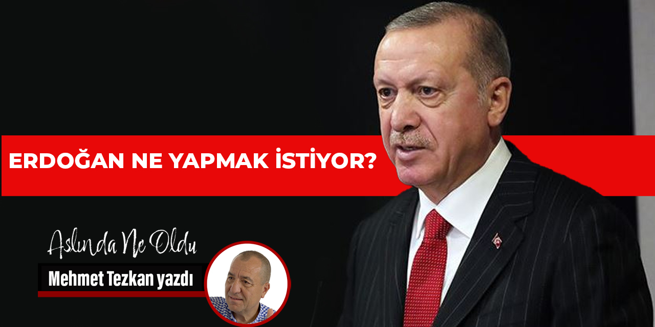 Erdoğan ne yapmak istiyor?