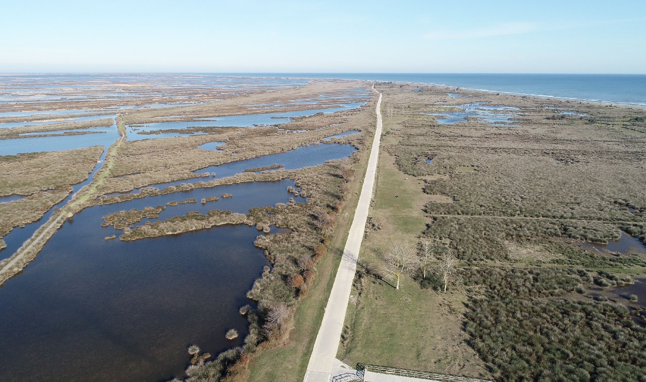Kızılırmak Deltası’nda zirai tarım ilacı tehdidi