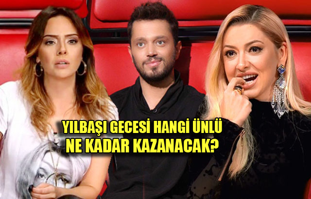 Yılbaşı gecesi hangi ünlü ne kadar kazanacak? Nerede sahne alacak?