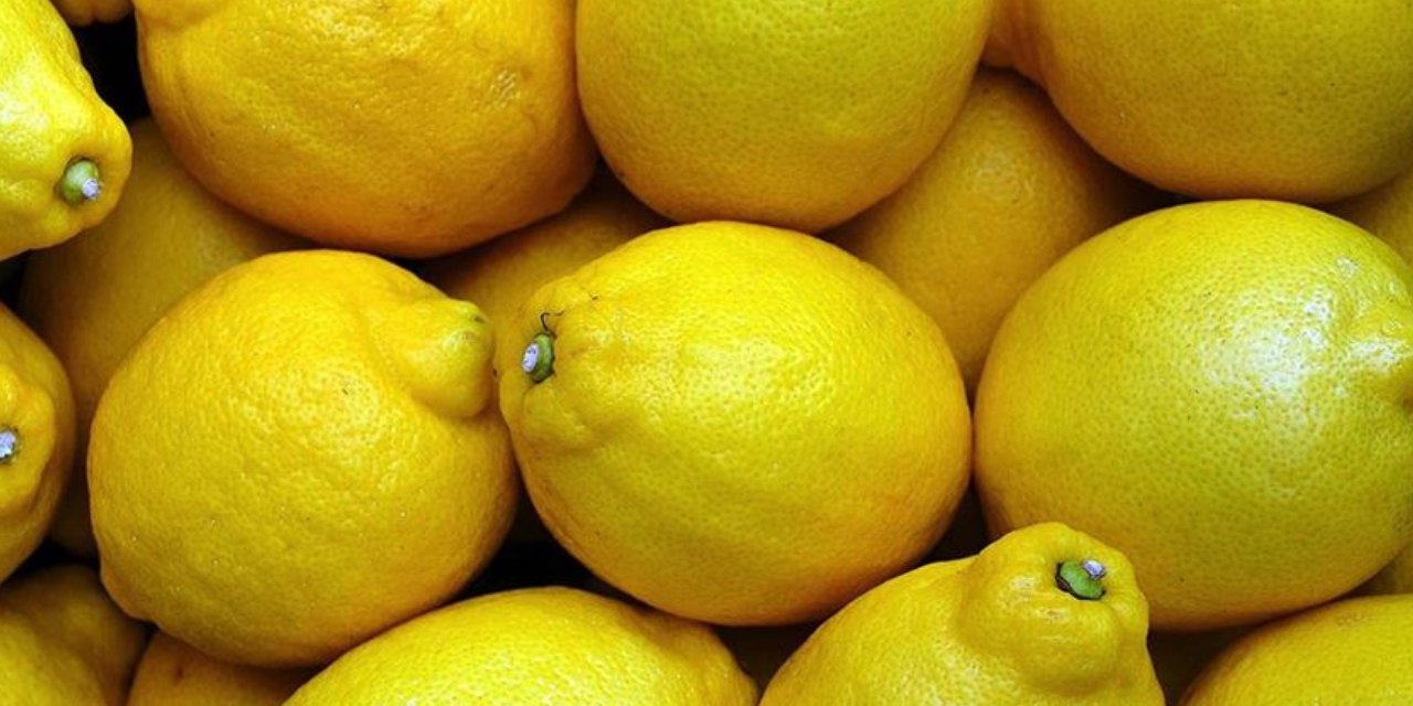 Rusya, Türk firmadan limon alımını durdurdu