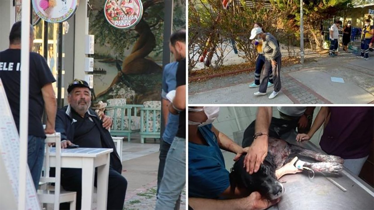 Köpeğin havlamasına sinirlendi dehşet saçtı