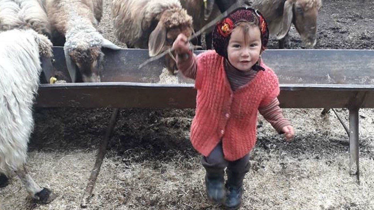 Müslüme'nin ölüm nedeni belli oldu