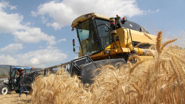 Türkiye'den Ukraynalı çiftçiye destek: Teknik ve mali yardım yapılacak