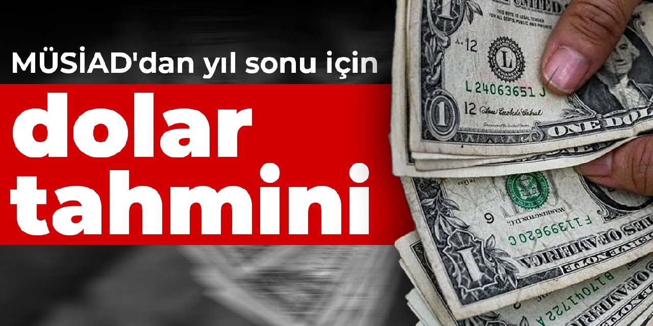 MÜSİAD'dan yıl sonu için dolar tahmini