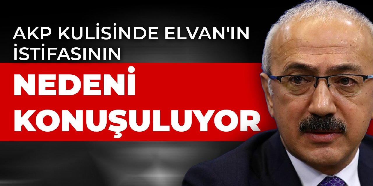 AKP kulisinde Elvan'ın istifasının nedeni konuşuluyor