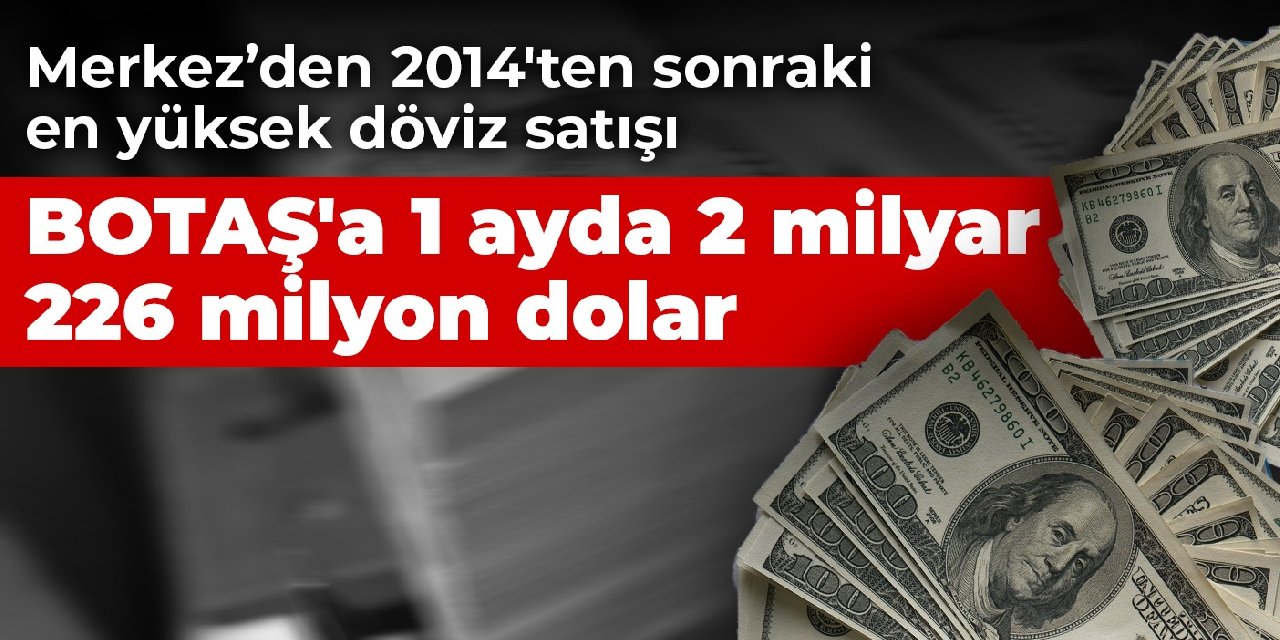 Merkez Bankası'ndan 2014'ten sonraki en yüksek döviz satışı: BOTAŞ'a 1 ayda 2 milyar 226 milyon dolar